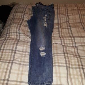 Torrid jeans